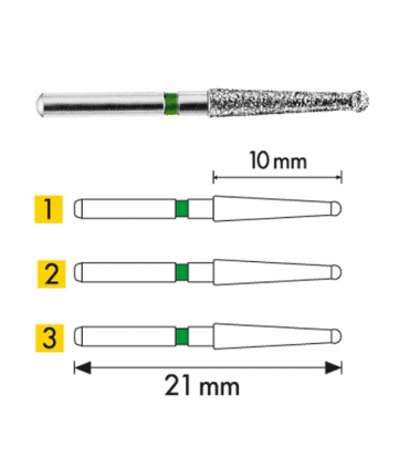 Fresas F.G. Endo Access Bur 1 Ud.