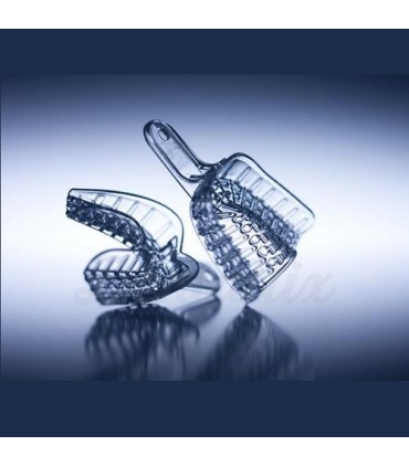 Cubetas President 12 uds