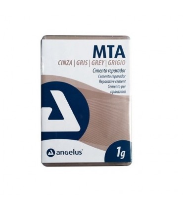 MTA Angelus