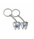 Llavero Molar 20 uds